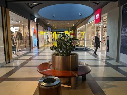 Galeria Adama Migdała
