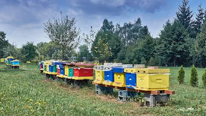 Gospodarstwo Pasieczne "U Kiejdów"