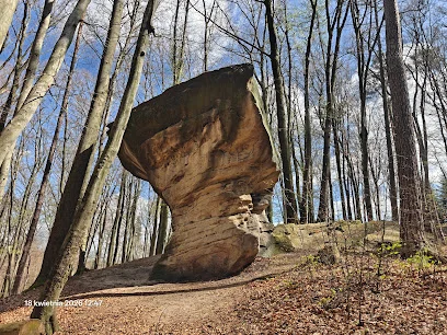 Rezerwat Przyrody Kamień-Grzyb