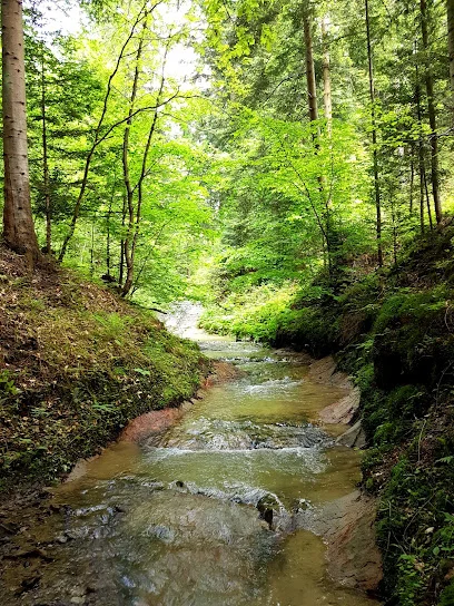 Wiśnicko-Lipnicki Park Krajobrazowy